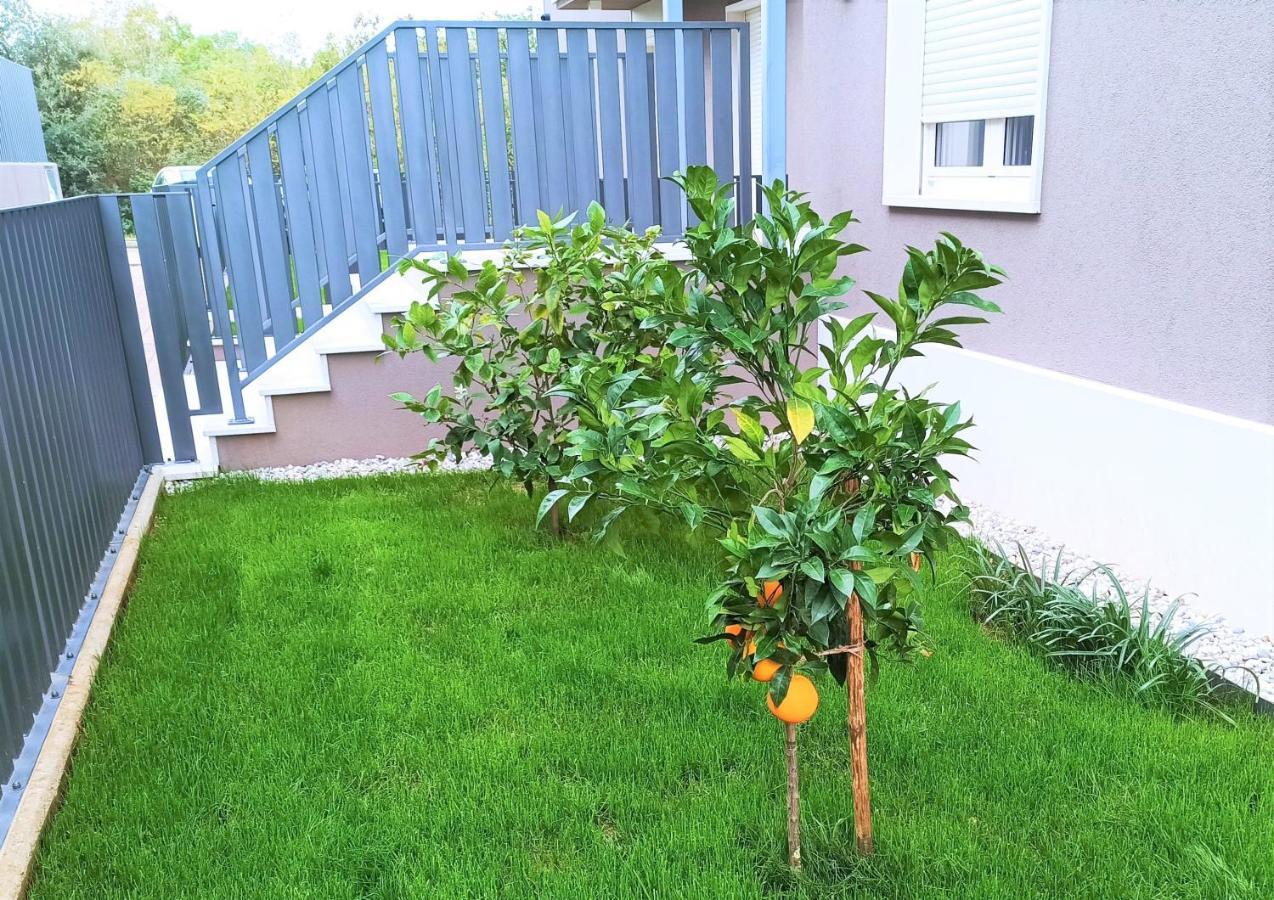 Lemon3 Deluxe Apartment Poreč Eksteriør billede